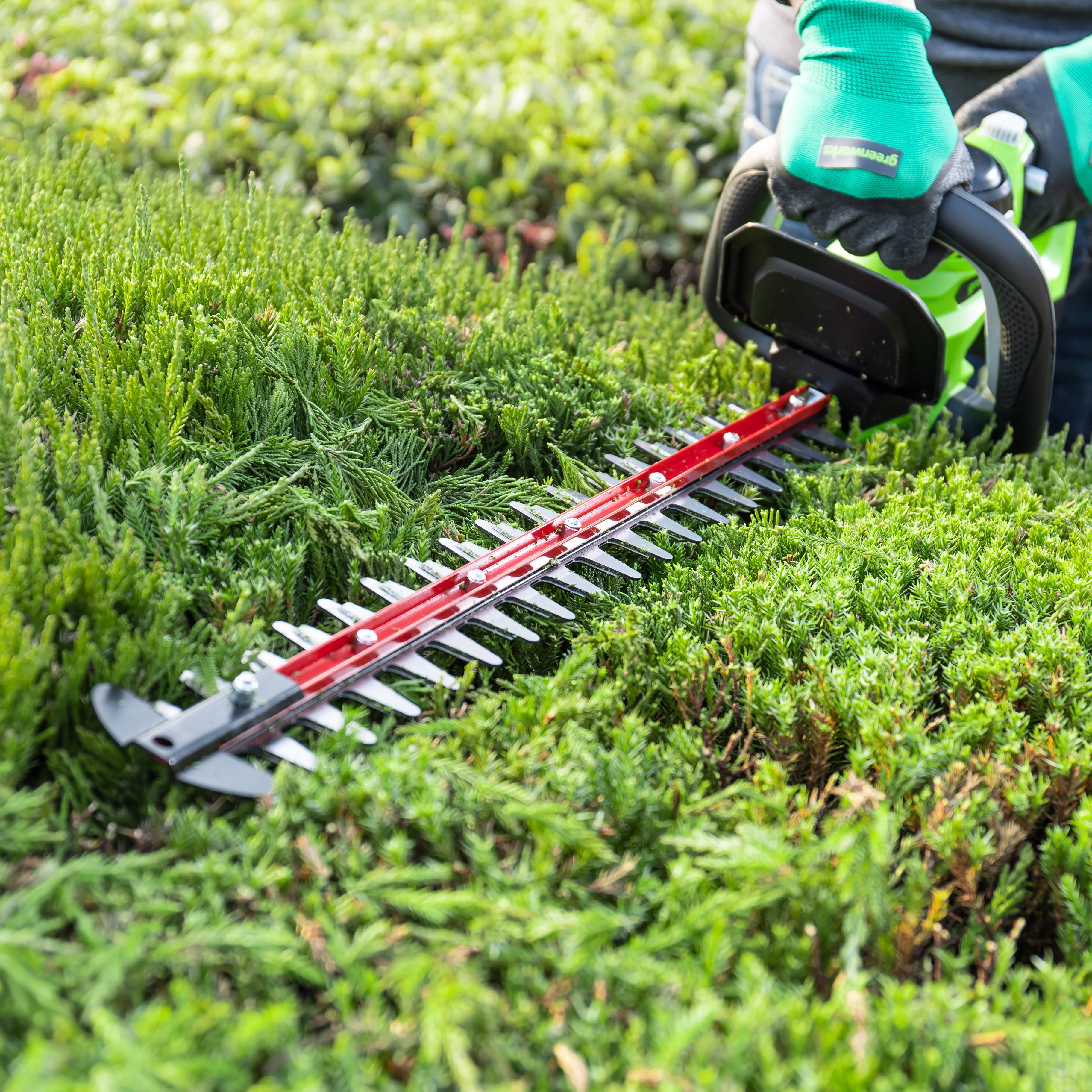 POWERALL 24V Hedge Trimmer 61cm - tool only - Image 9