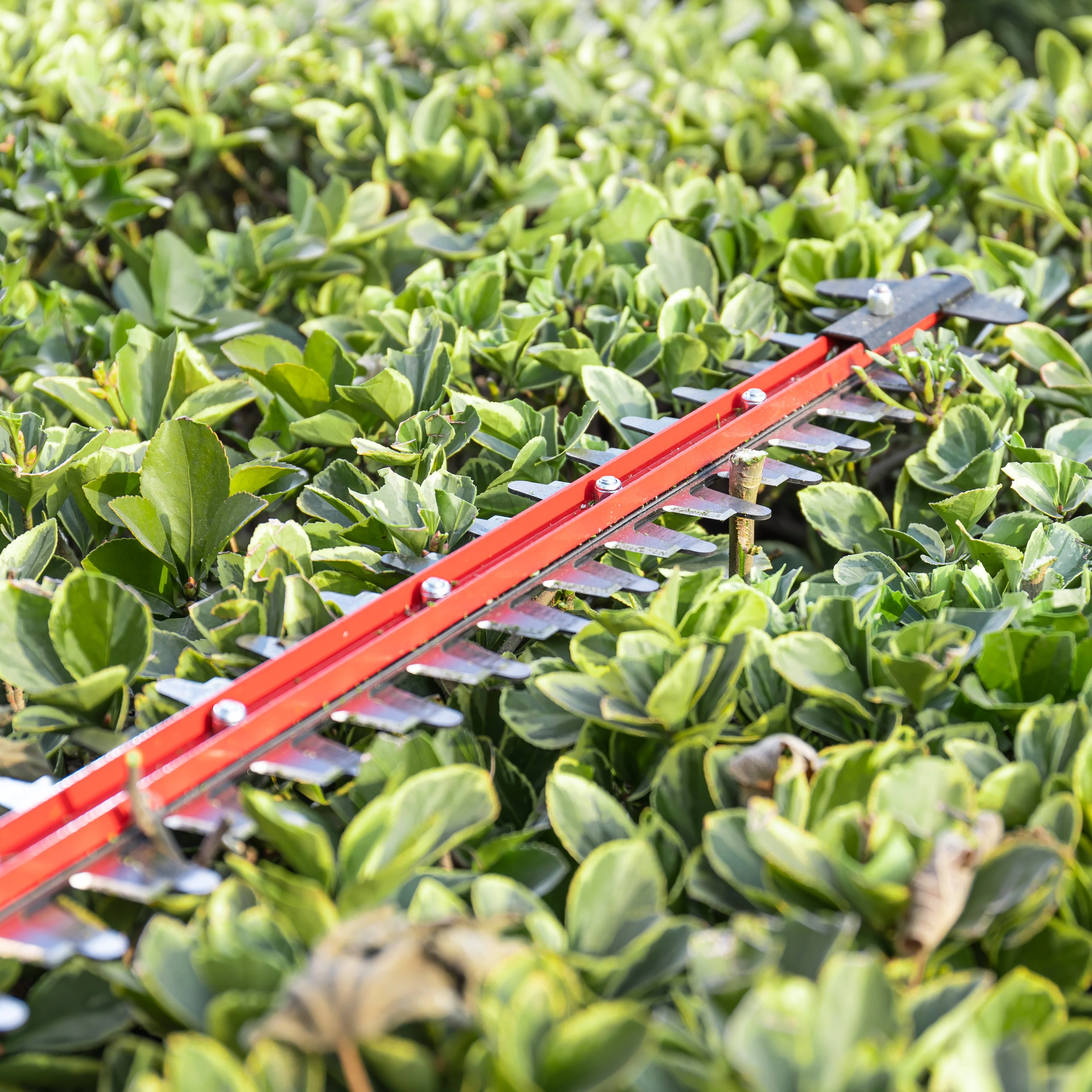 POWERALL 24V Hedge Trimmer 61cm - tool only - Image 7