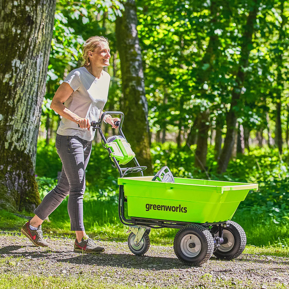 40V Garden Cart - tool only - Image 11