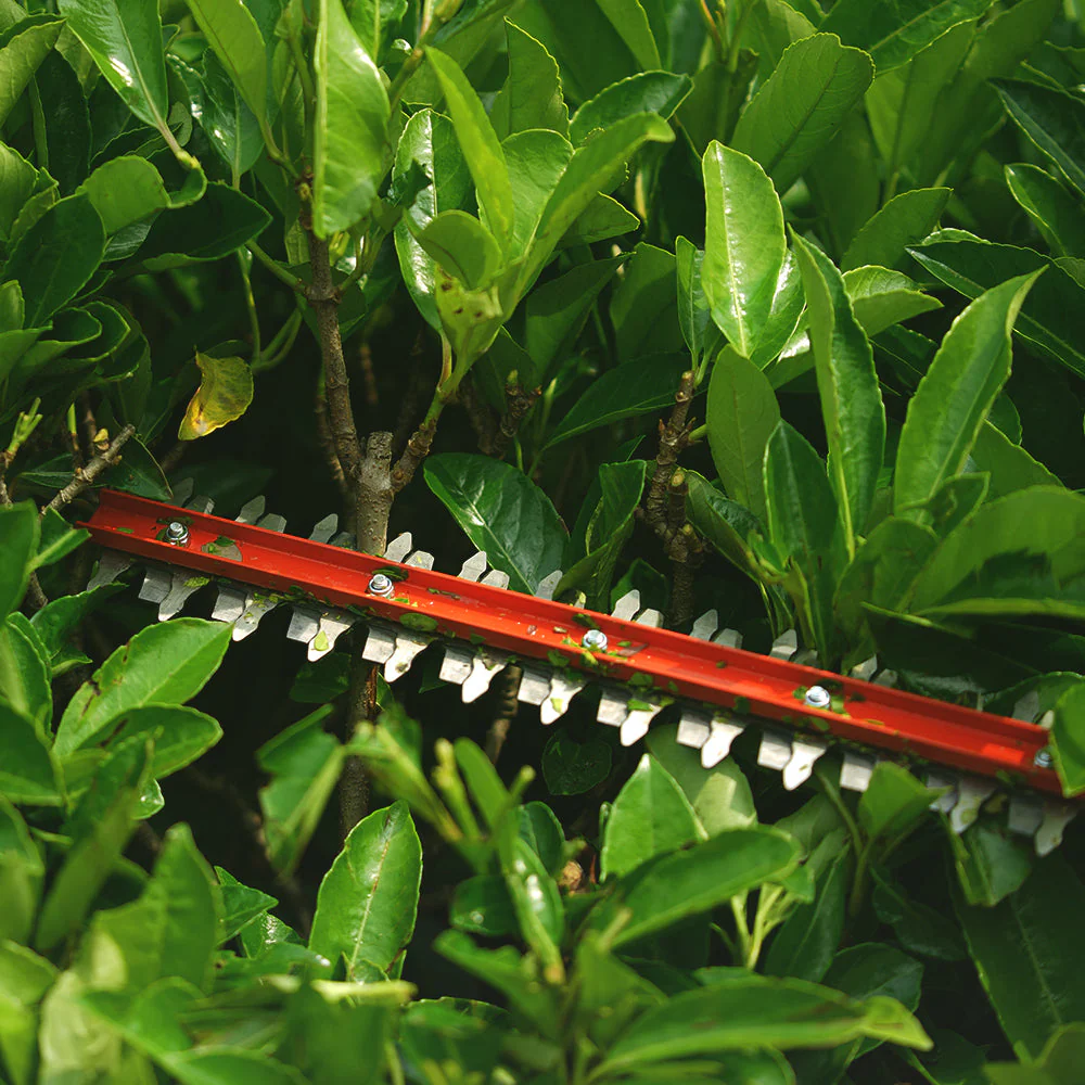 40V Hedge Trimmer 61cm - tool only - Image 10
