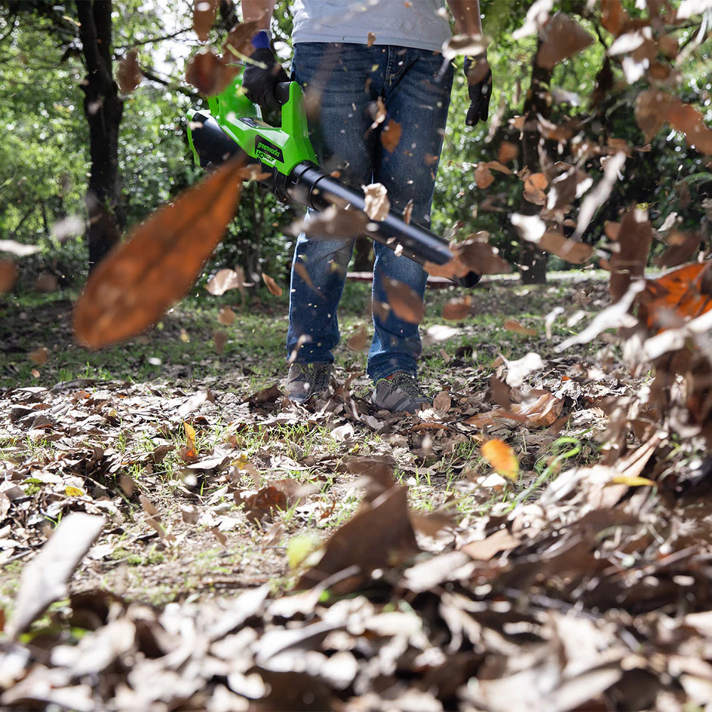40V Leaf Blower 177 km/h - 2Ah Battery - Image 5